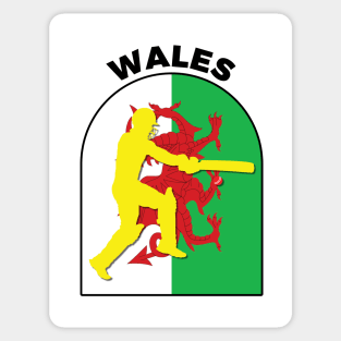 Wales Cricket Batsman Wales Flag Sticker